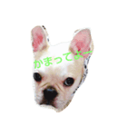 ココちゃんの表情part1（個別スタンプ：1）
