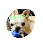 ココちゃんの表情part1（個別スタンプ：2）