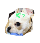 ココちゃんの表情part1（個別スタンプ：5）