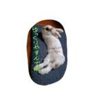 ラッキーさんの日常あいさつ②（家族友達）（個別スタンプ：10）