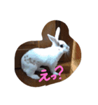 ラッキーさんの日常あいさつ②（家族友達）（個別スタンプ：12）