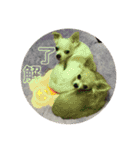 可愛い犬の日課〜虎之助・桜・春・ニケ〜（個別スタンプ：4）