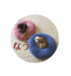可愛い犬の日課〜虎之助・桜・春・ニケ〜（個別スタンプ：7）