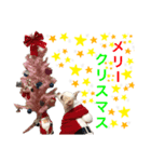 愛犬サンタスタンプPart①（個別スタンプ：8）