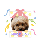 ♪うちのララちゃん♪（個別スタンプ：1）
