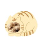 ♪うちのララちゃん♪（個別スタンプ：8）