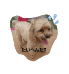 ♪うちのララちゃん♪（個別スタンプ：31）