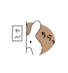もっとうさぎ！（個別スタンプ：4）