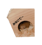 ハムスターぷりん（個別スタンプ：5）