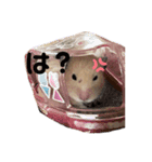 ハムスターぷりん（個別スタンプ：13）