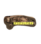 あっぱれ！みゃろモモ！（個別スタンプ：8）
