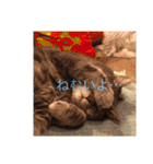 あっぱれ！みゃろモモ！（個別スタンプ：9）