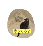 あっぱれ！みゃろモモ！（個別スタンプ：10）
