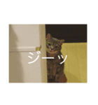 あっぱれ！みゃろモモ！（個別スタンプ：15）