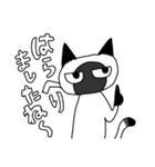 シャムねこもどき2（個別スタンプ：11）