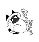 シャムねこもどき2（個別スタンプ：16）