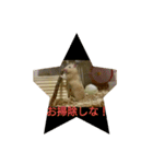 ハムスターズ♪（個別スタンプ：5）
