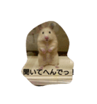 ハムスターズ♪（個別スタンプ：6）