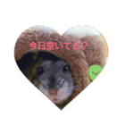 ハムスターズ♪（個別スタンプ：11）