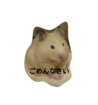 ハムスターズ♪（個別スタンプ：16）