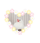 大好きなぴいちゃん（個別スタンプ：1）