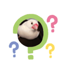大好きなぴいちゃん（個別スタンプ：7）