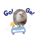 大好きなぴいちゃん（個別スタンプ：12）