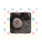 大好きなぴいちゃん（個別スタンプ：16）