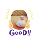 大好きなぴいちゃん（個別スタンプ：20）