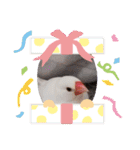 大好きなぴいちゃん（個別スタンプ：22）