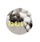 なのここすたんぷ（個別スタンプ：1）