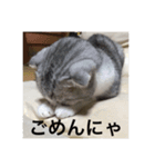 なのここすたんぷ（個別スタンプ：4）