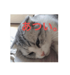 なのここすたんぷ（個別スタンプ：6）