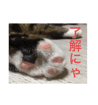 なのここすたんぷ（個別スタンプ：7）