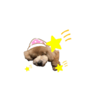 ルゥ殿（個別スタンプ：3）