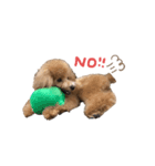ルゥ殿（個別スタンプ：6）
