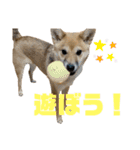 茶豆のスタンプ1（個別スタンプ：2）