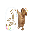 蓮の日常 1（個別スタンプ：2）