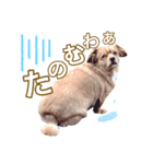 蓮の日常 1（個別スタンプ：5）
