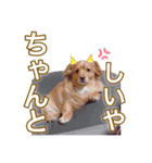 蓮の日常 1（個別スタンプ：8）