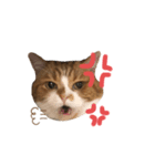 バニラはん（個別スタンプ：4）