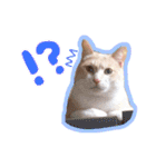 あじさい猫スタンプ（個別スタンプ：6）