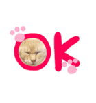 あじさい猫スタンプ（個別スタンプ：9）