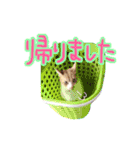 あじさい猫スタンプ（個別スタンプ：14）