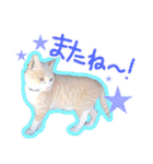 あじさい猫スタンプ（個別スタンプ：29）