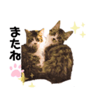 ねこ詰合せ（個別スタンプ：20）