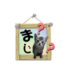 こねこ☆すたんぷ 12（個別スタンプ：7）