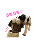 ビーグルつぶ〜チビver〜（個別スタンプ：9）
