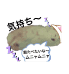 白ポメラヴィと姉ラブの気持ち♡（個別スタンプ：15）