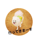 白ポメラヴィと姉ラブの気持ち♡（個別スタンプ：22）